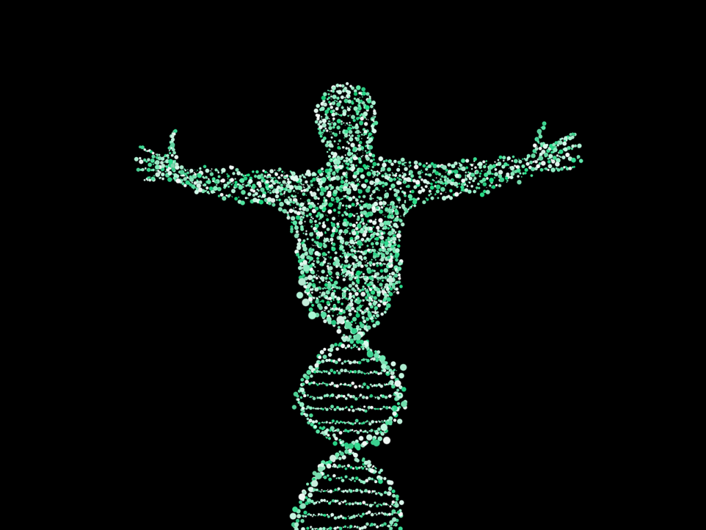 Genoma humano