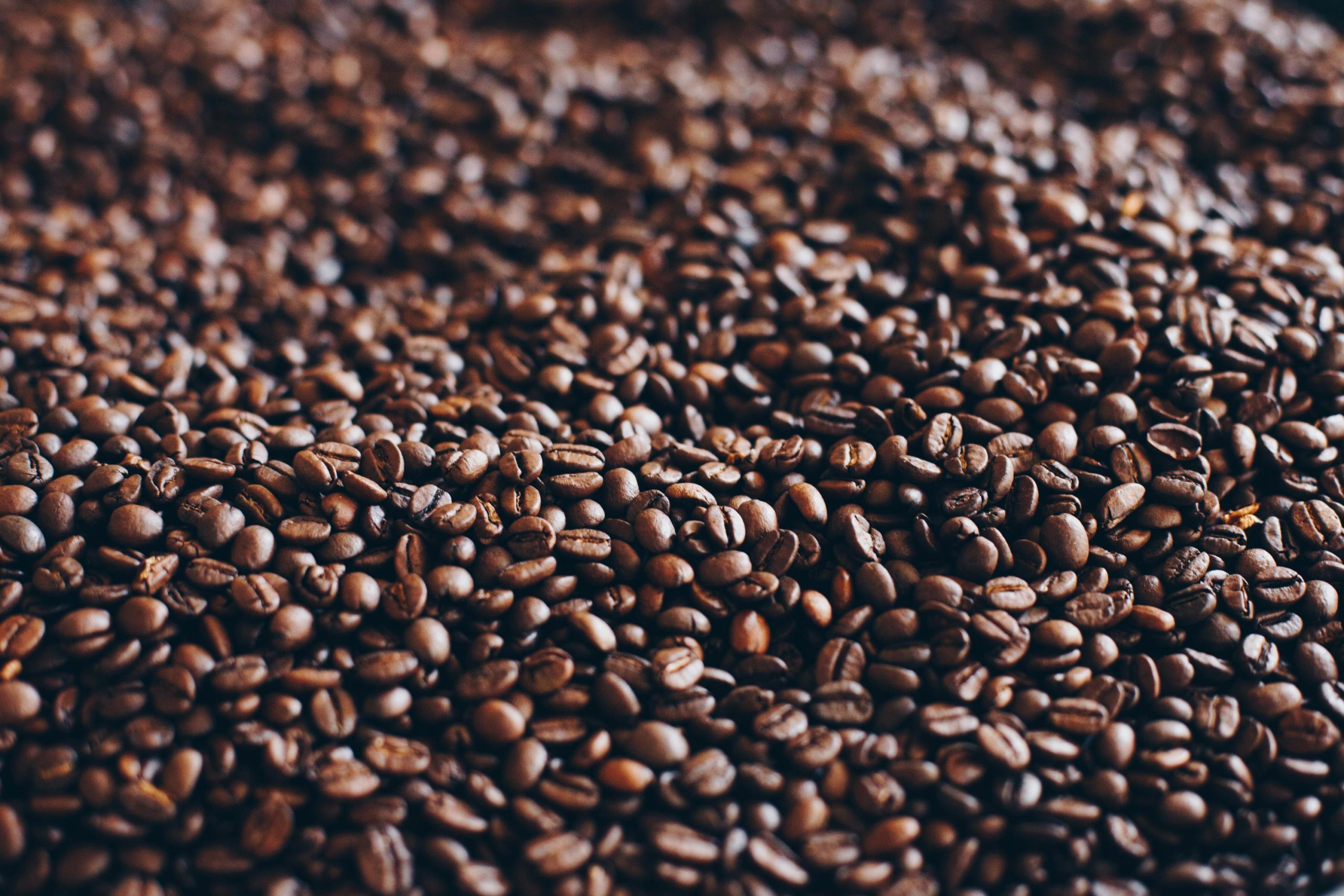 Cómo el cambio climático amenaza el futuro del café